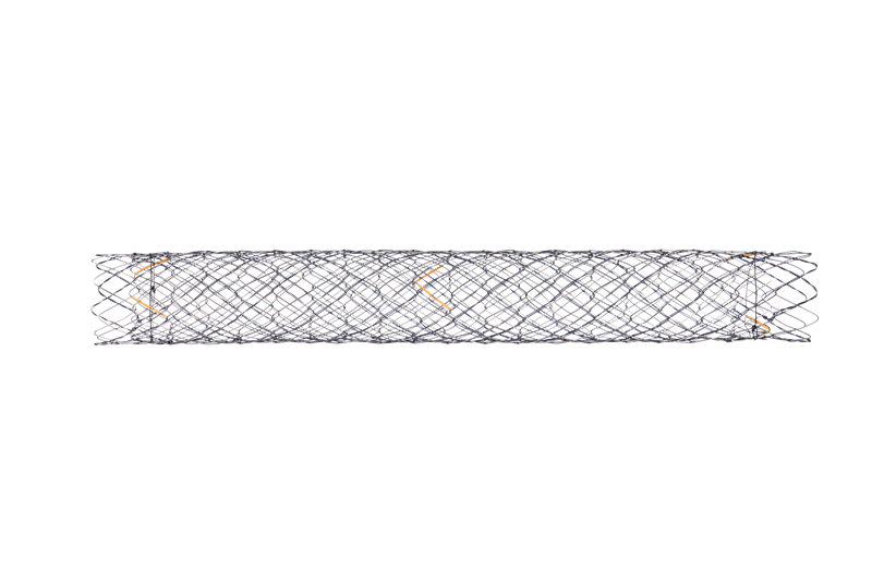 Biliary Double Bare Stent