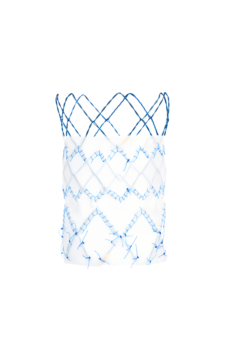 SEAL Cuff Stent Graft