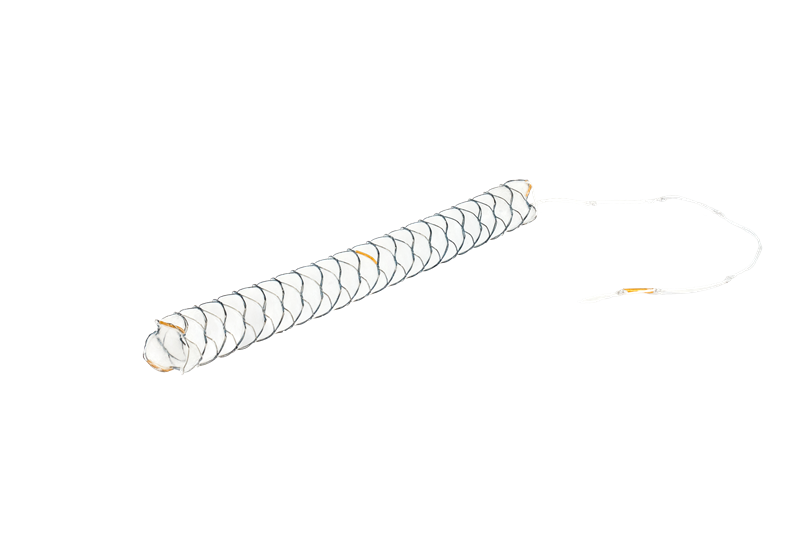 Biliary Single Covered F Cone Shape Stent