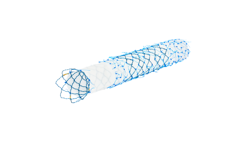 SEAL NOVUS Limb Stent Graft