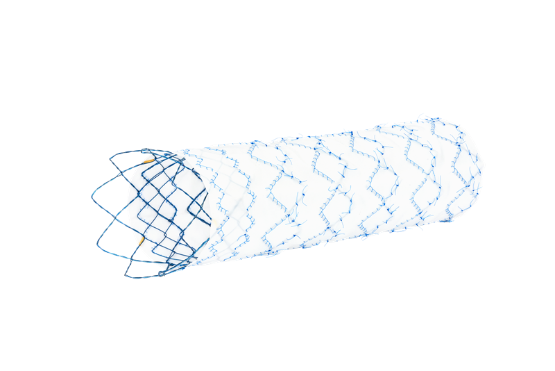 SEAL Thoracic Stent Graft (Straight)