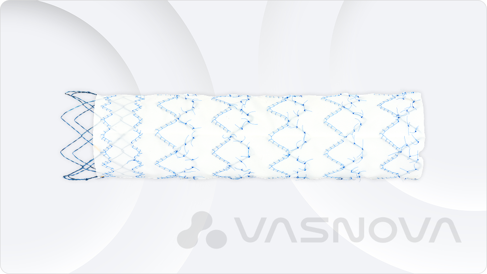 고난도 뇌혈관 구조를 위한<br> 초정밀 중재 솔루션